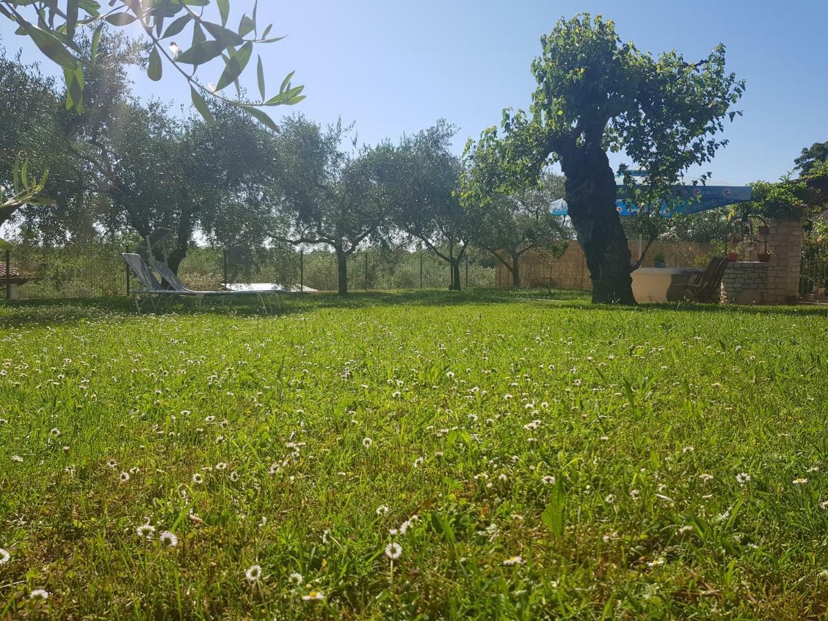 Casa Istria Villa Buje Buitenkant foto